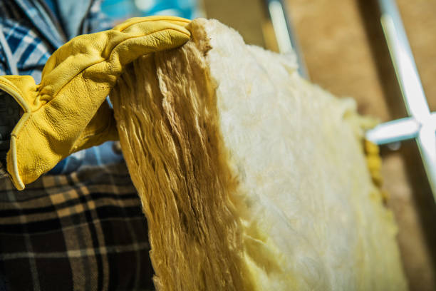 Best Eco-Friendly Insulation in Wyoming, OH